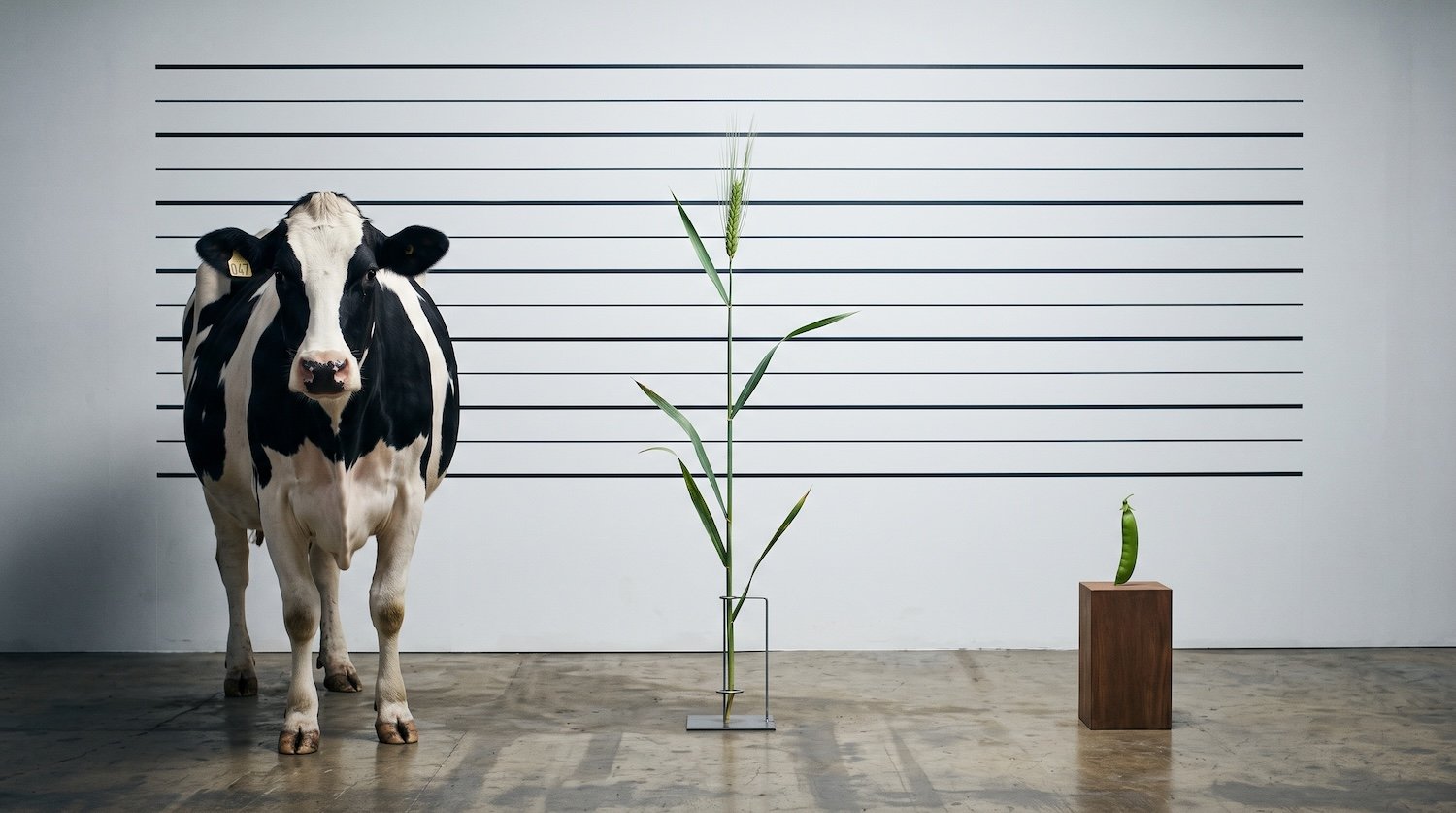 How Protein Powder Is Made (and How to Spot a Good One)