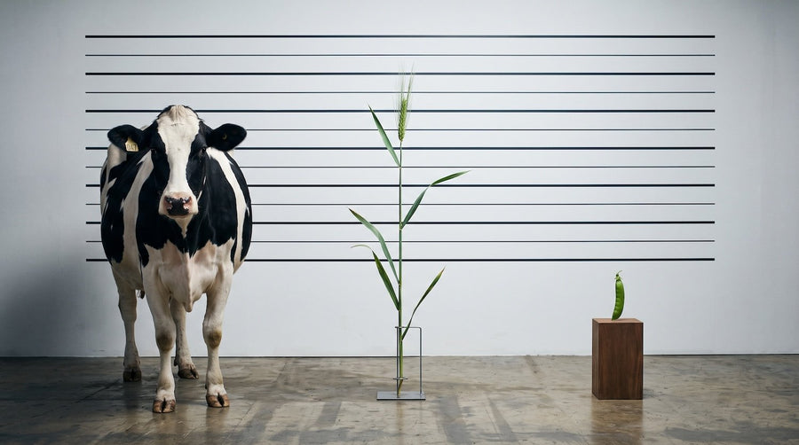 How Protein Powder Is Made (and How to Spot a Good One)