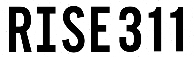 RISE311