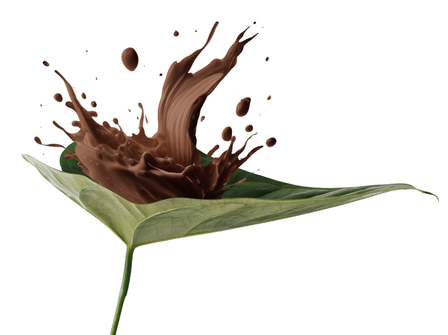 Chocolate liquid splash on a leaf composition
