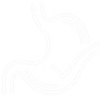 White stomach line drawing with gut checkmark health icon