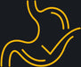 Yellow stomach line drawing with gut checkmark health icon