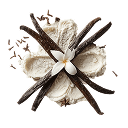 Madagascar Vanilla