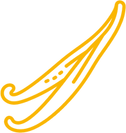 Vanilla pod line drawing with details (in yellow outline)