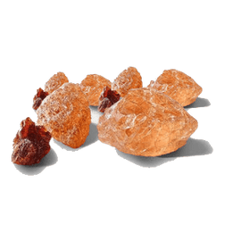 Organic acacia gum (fiber) ingredient photo