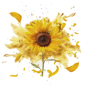 Golden sunflower image for the sunflower lecithin in RISE311 (used to make all ingredients more soluble)
