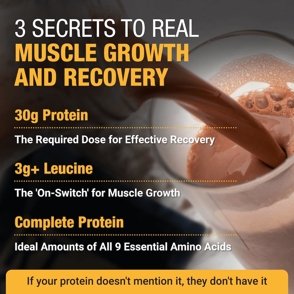 RISE311 infographic: 30g protein per serving, 3g leucine for muscle growth, amino acids your body can use immediately (chocolate shake).