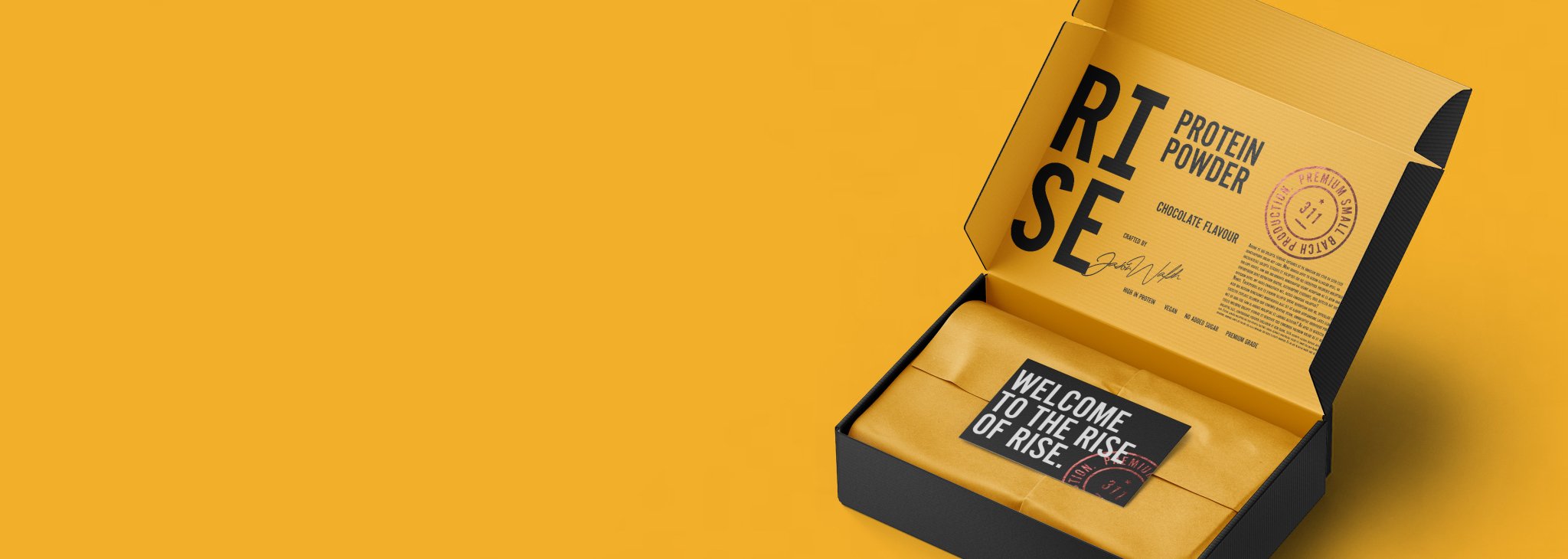 RISE311 presentation box (introductory for VIP).